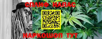 ГАЛЛЮЦИНОГЕННЫЕ ГРИБЫ Кингисепп