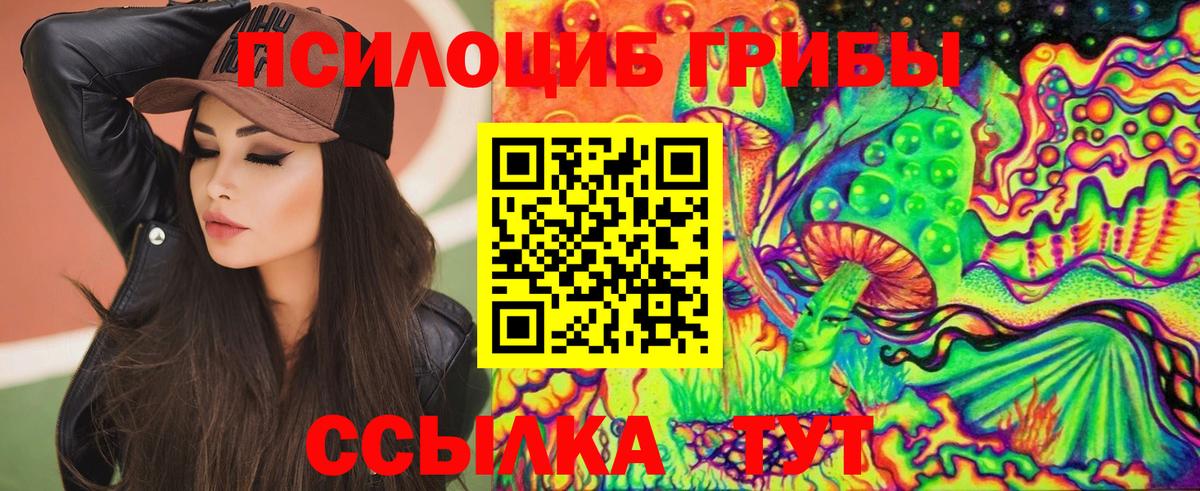 Кропоткин  Галлюциногенные грибы ЛСД  Вход с VPN 